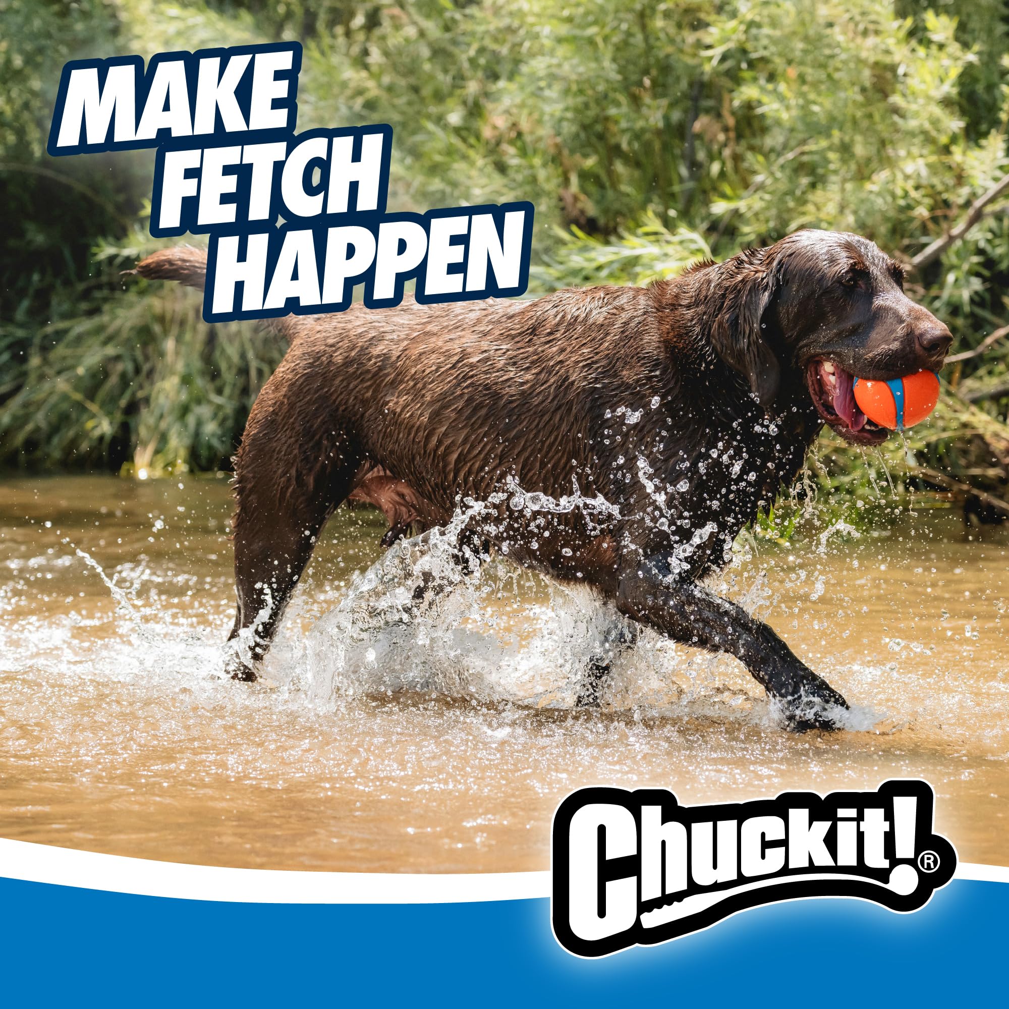 Chuckit Ultra Ball XXL, couleur vive facilement repérable pendant le jeu.