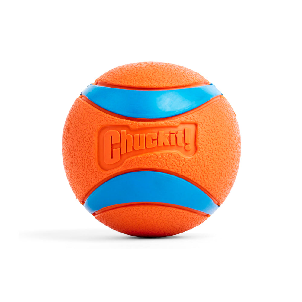 Chuckit Ultra Ball XXL, diamètre 10,16 cm, rebond élevé pour sessions de jeux dynamiques.