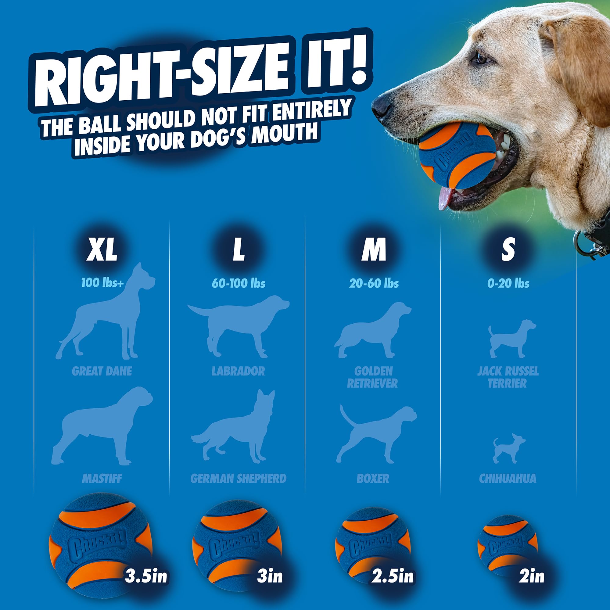 Chuckit! Ultra Squeaker Ball compatible Lanceur Chuckit!, lancers longue distance
