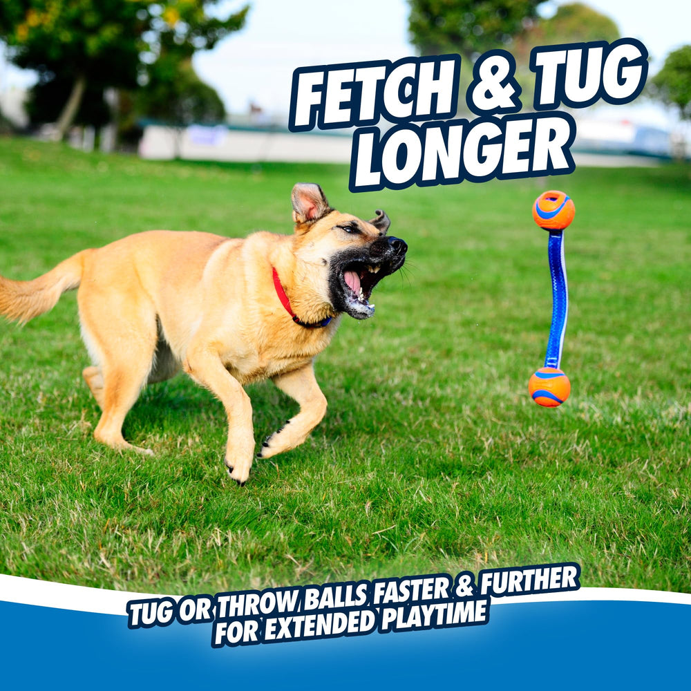 Chuckit Ultra Duo Tug: taille moyenne adaptée à 9–27 kg de chiens