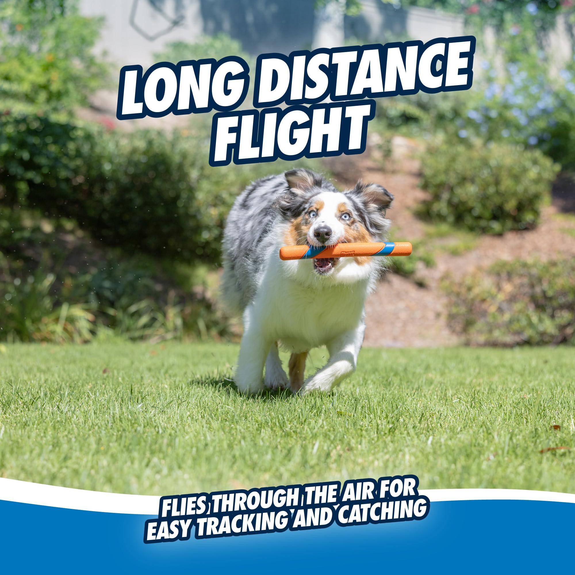 Chuckit! Ultra Fetch Stick – favorise des sessions interactives et la complicité.