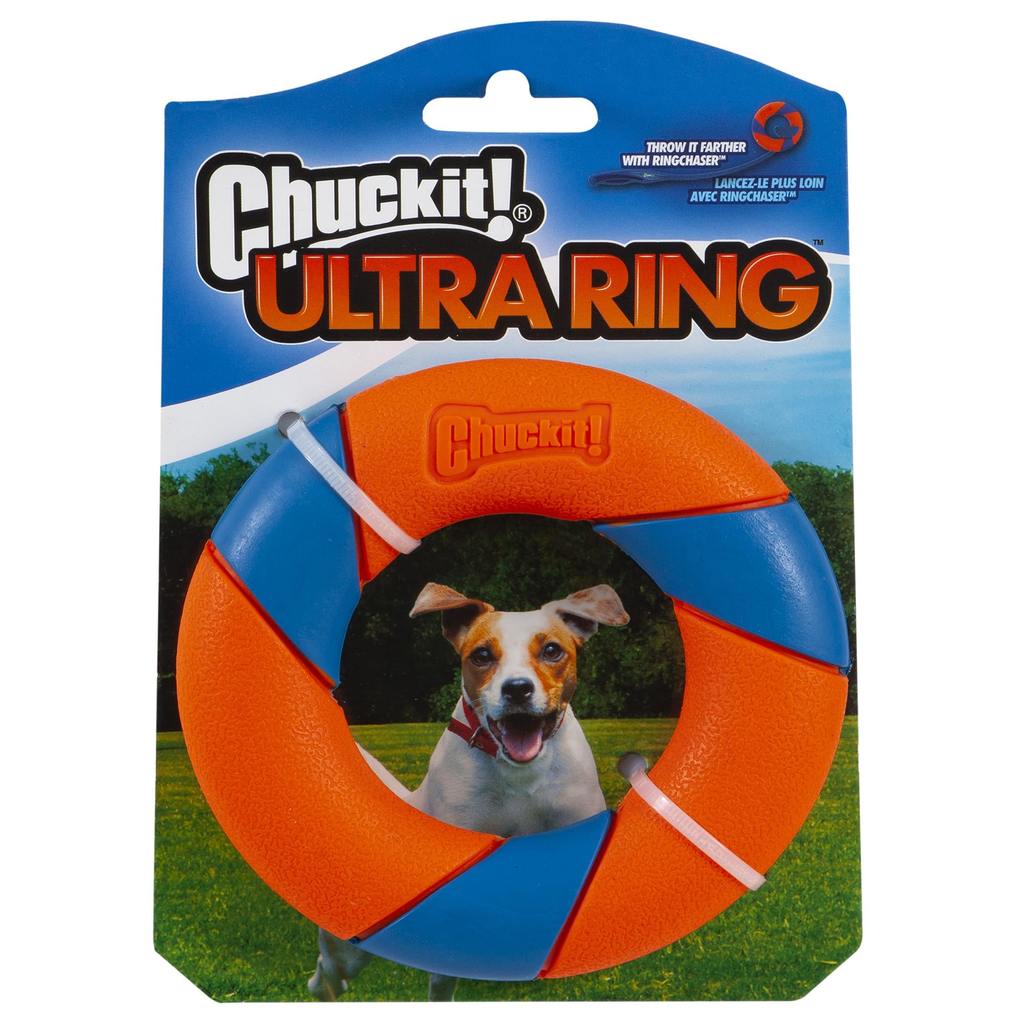 Chuckit Ultra Ring lancé en extérieur pour une poursuite énergique et rapide