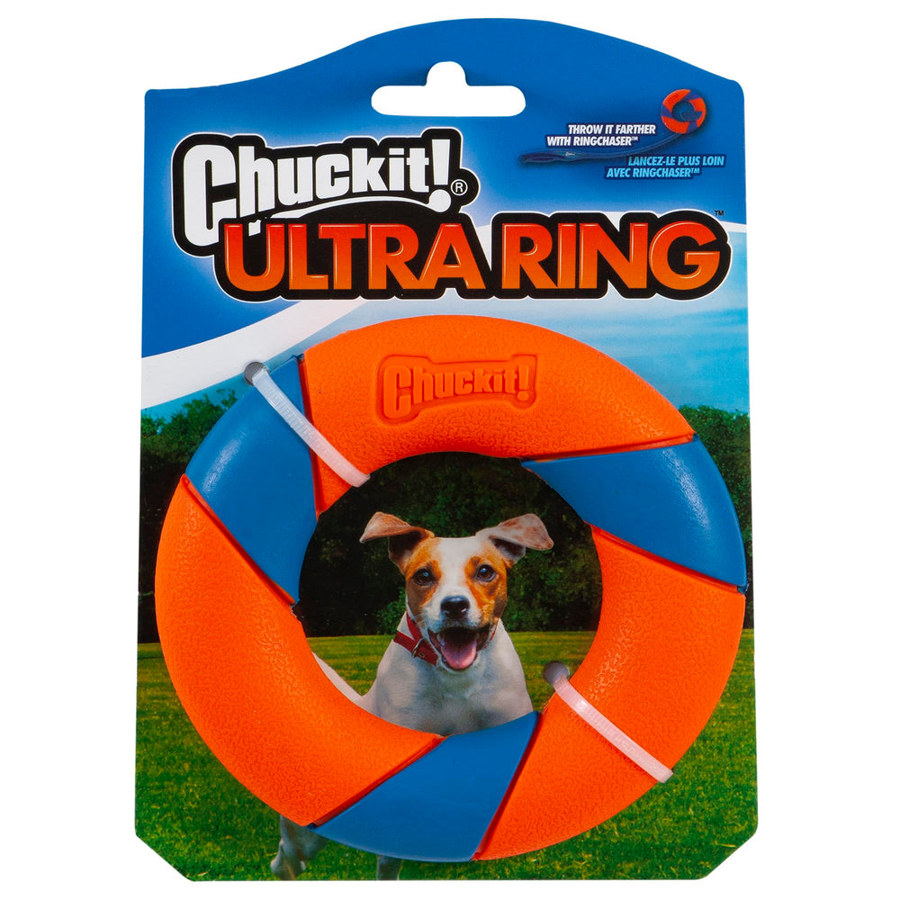 Chuckit Ultra Ring lancé en extérieur pour une poursuite énergique et rapide