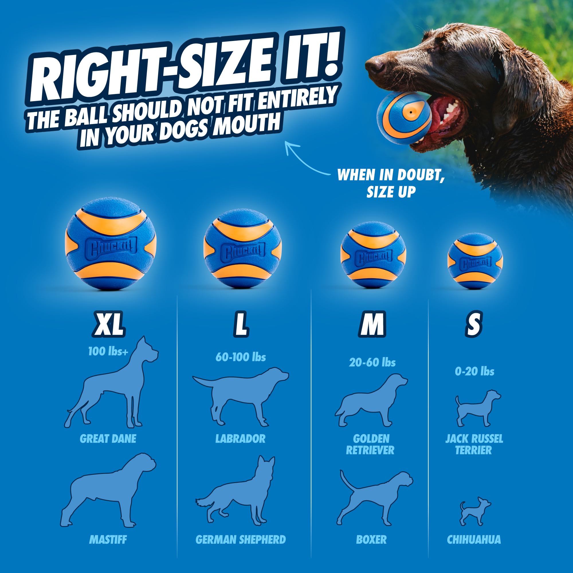 Chuckit! Ultra Squeaker, balle de récupération adaptée au parc et au jardin.