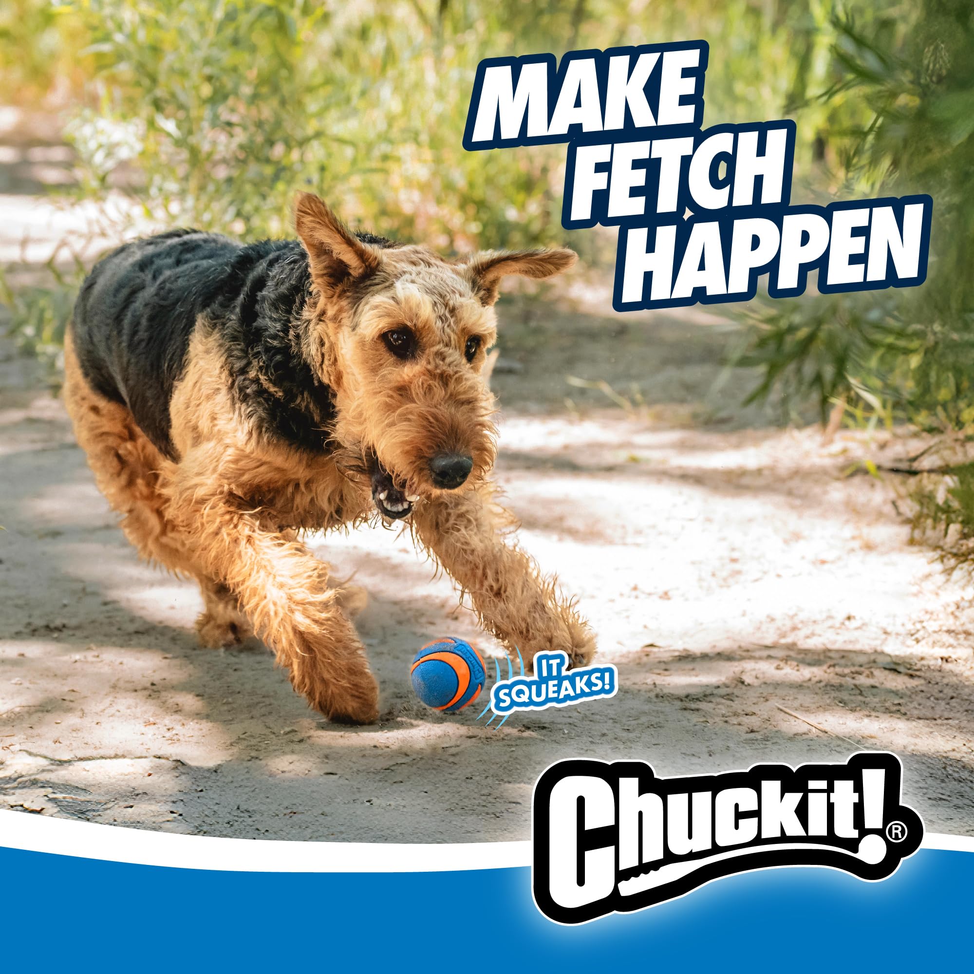 Chuckit! Ultra Squeaker, compatible avec les lancers Chuckit! pour plus de plaisir.