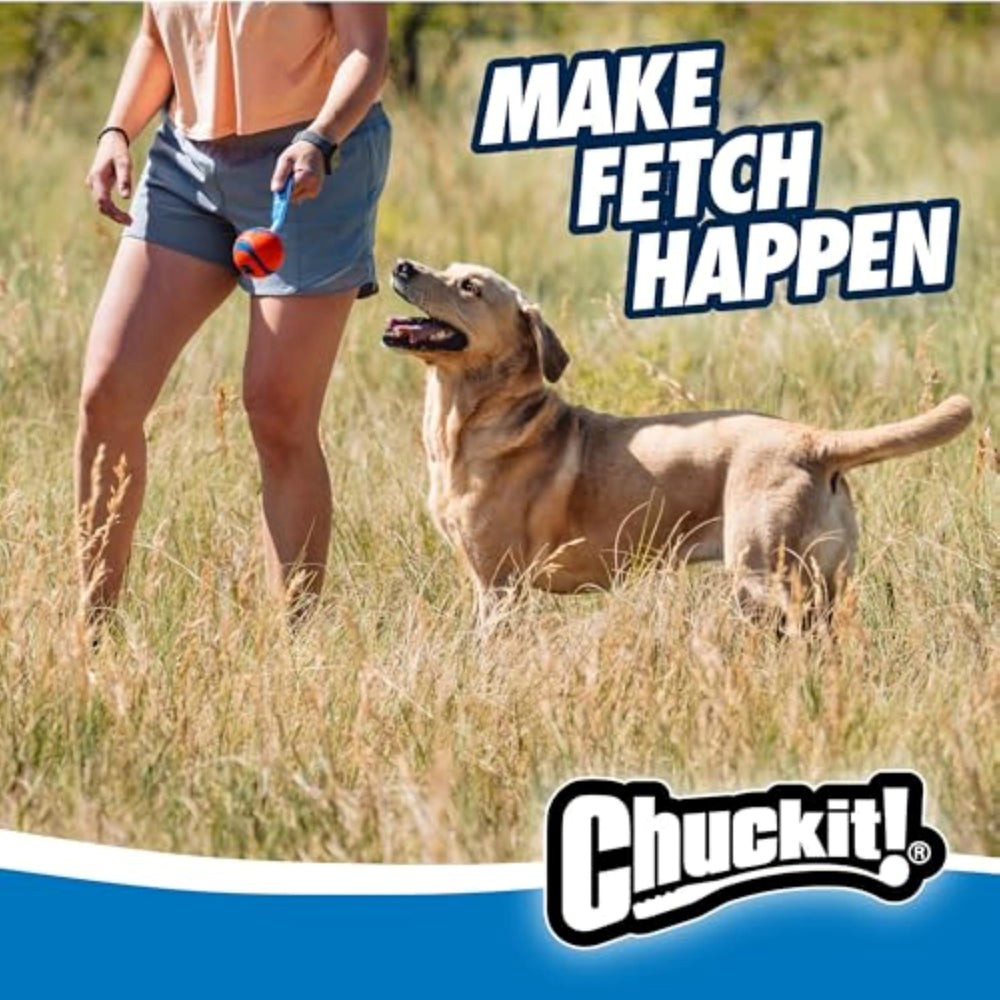 Corde nylon double épaisseur signée Chuckit! Ultra Tug, traction durable.
