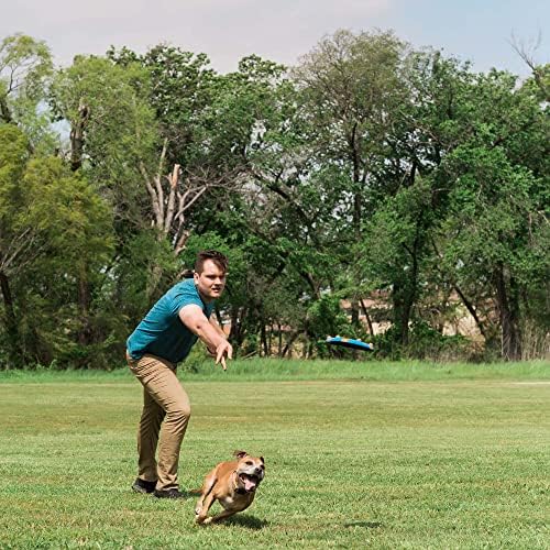 Whistle Flight: parfait pour chiens moyens à grands pendant l’exercice.