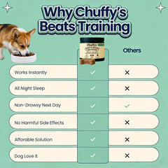 Chien en sommeil avec Dreamy Pup Chews: option douce pour les nuits calmes.