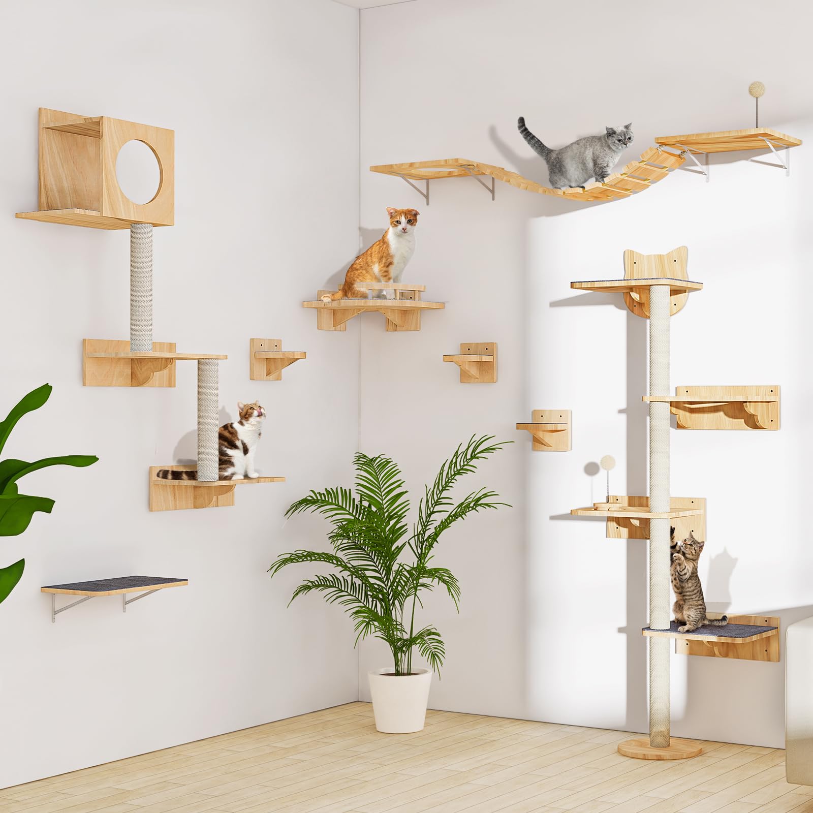 Chuiendi: aire de jeu chat murale, encourage mouvement et jeu intérieur.