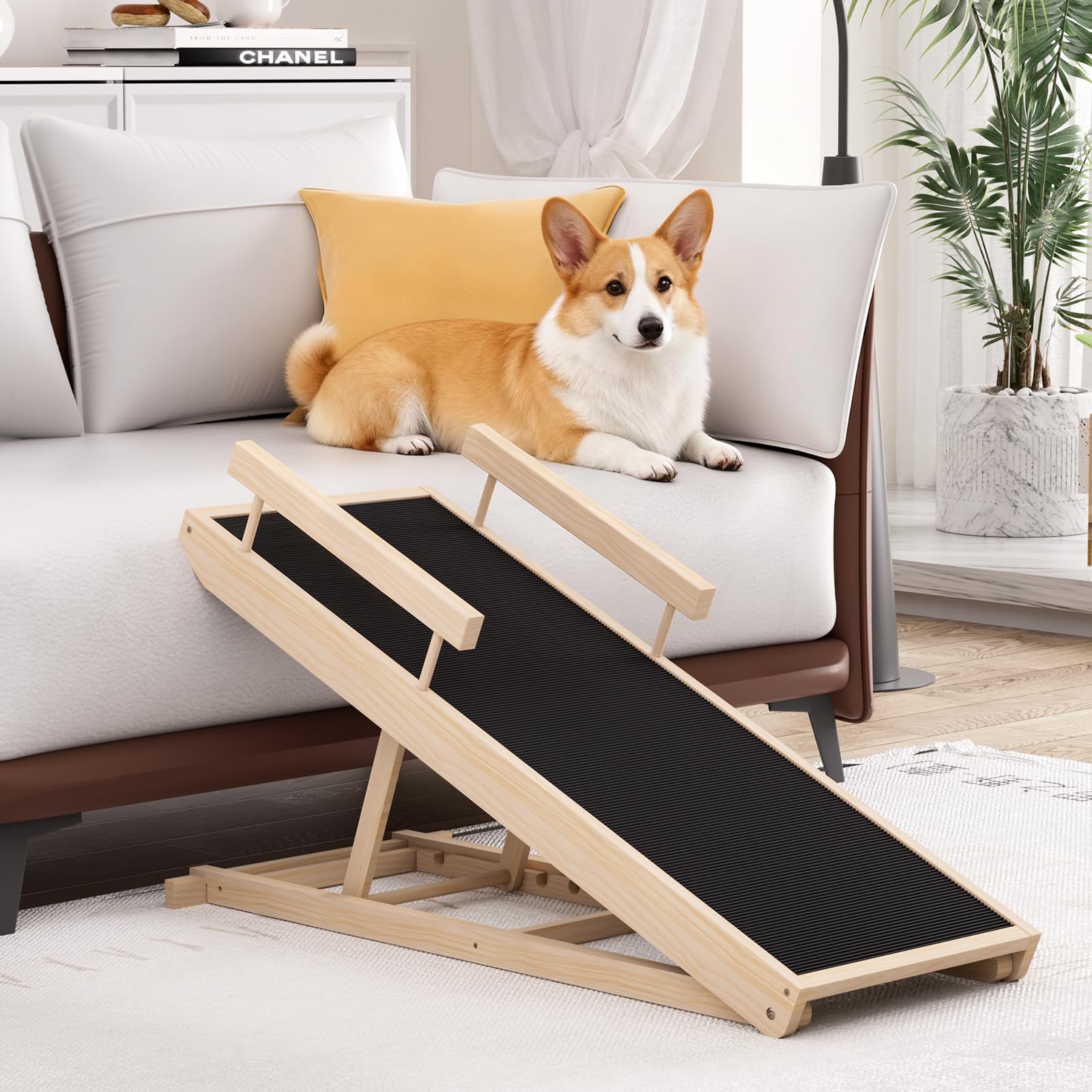 Chuiendi rampe-usage-elder: idéal pour chiens âgés ou blessés