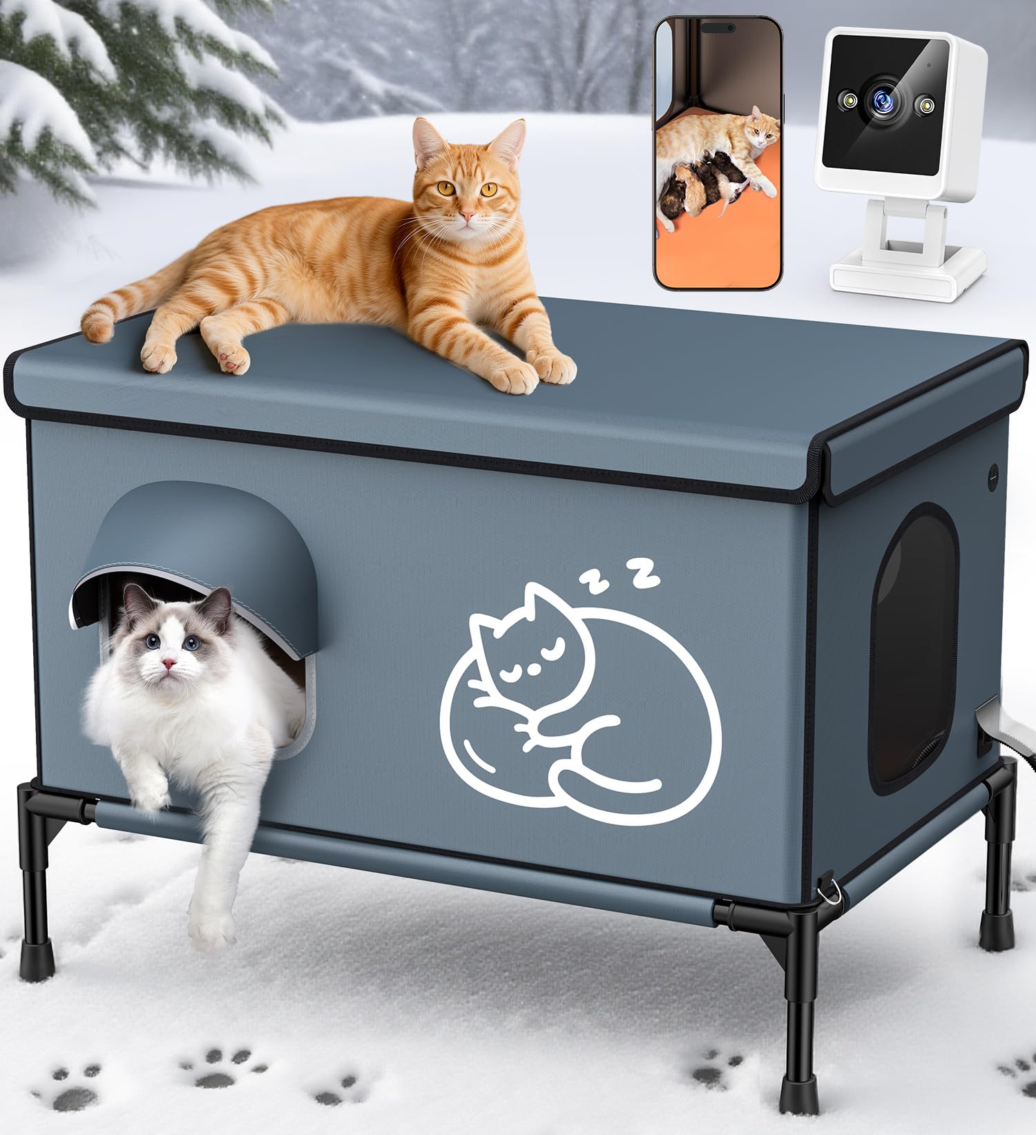 Conçu pour chats feral et usage en grange ou extérieur
