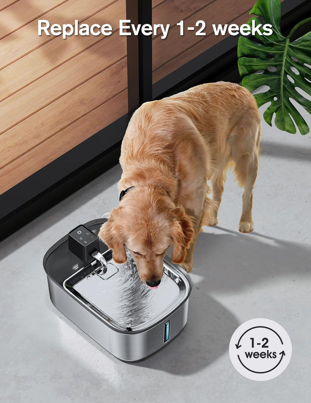 Fontaine en inox Chumajor, idéale pour grands chiens et hydratation durable.