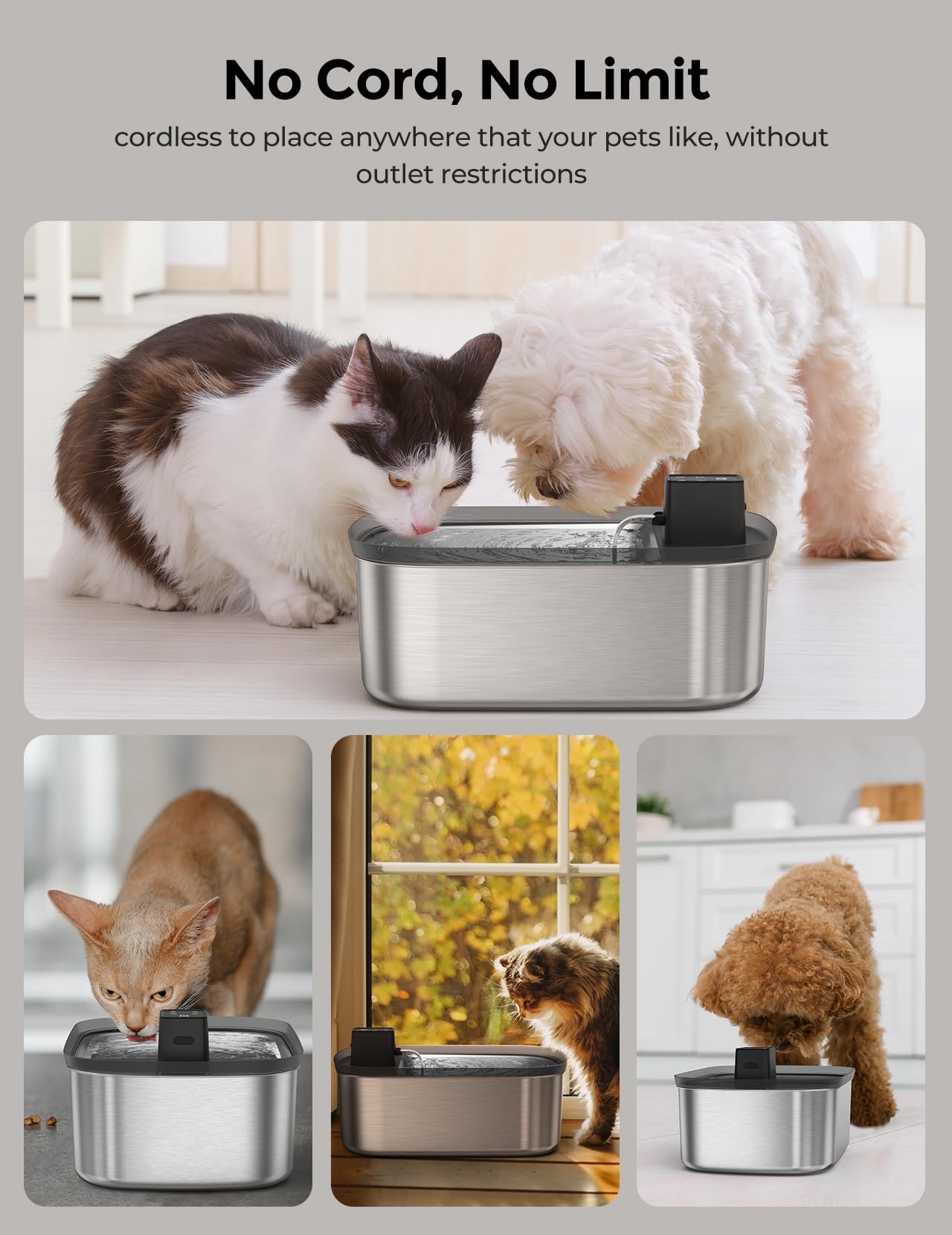 Chumajor fontaine 24-7 flux continu pour chiens et chats