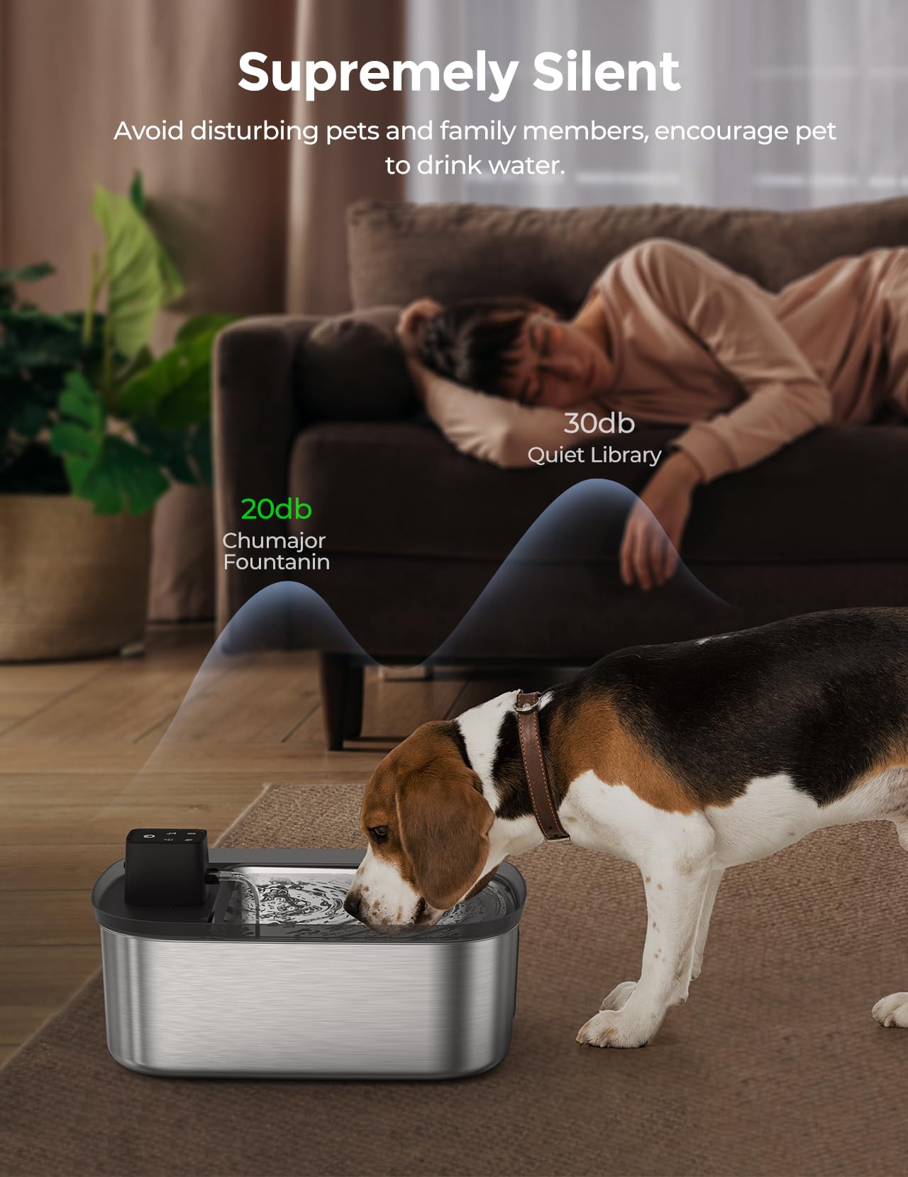 Chumajor fontaine inox résistante et durable, nettoyage facilité