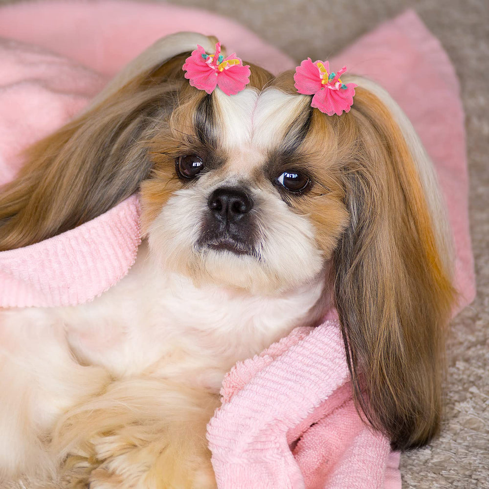 Chumia boucles-poils-animaux-tenues-fête, complètent les tenues pour occasions festives.