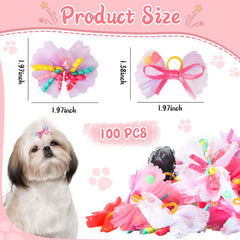 Chumia boucles-poils-petits-chien-multicolores, personnalise le pelage avec facilité.