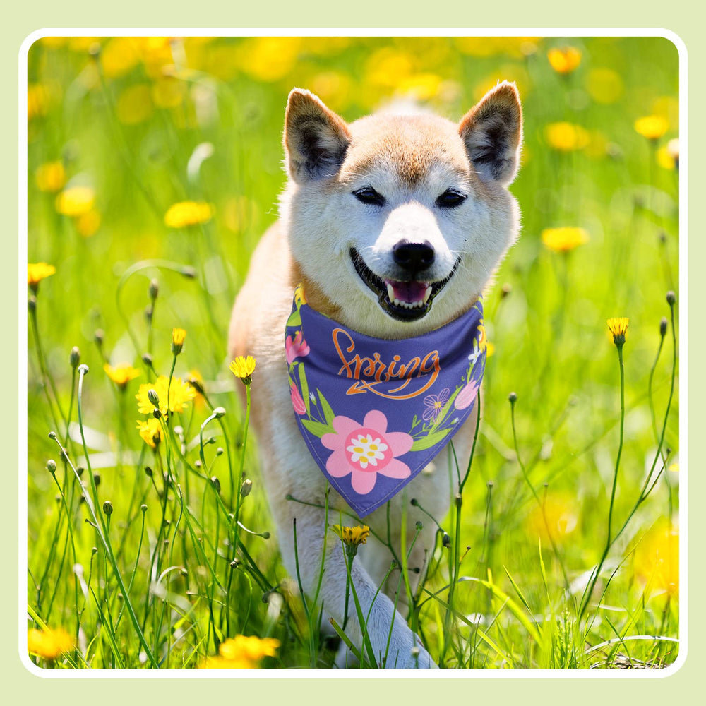 Bandana Chunful printemps, parfait pour fête et promenade.