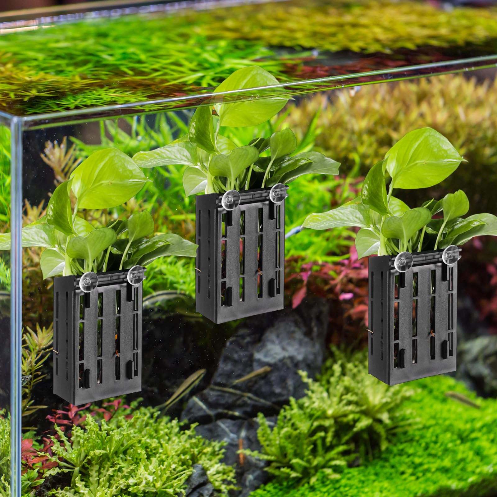 Déco aquascape Chunful avec pots et accessoires pour un biotope décoratif