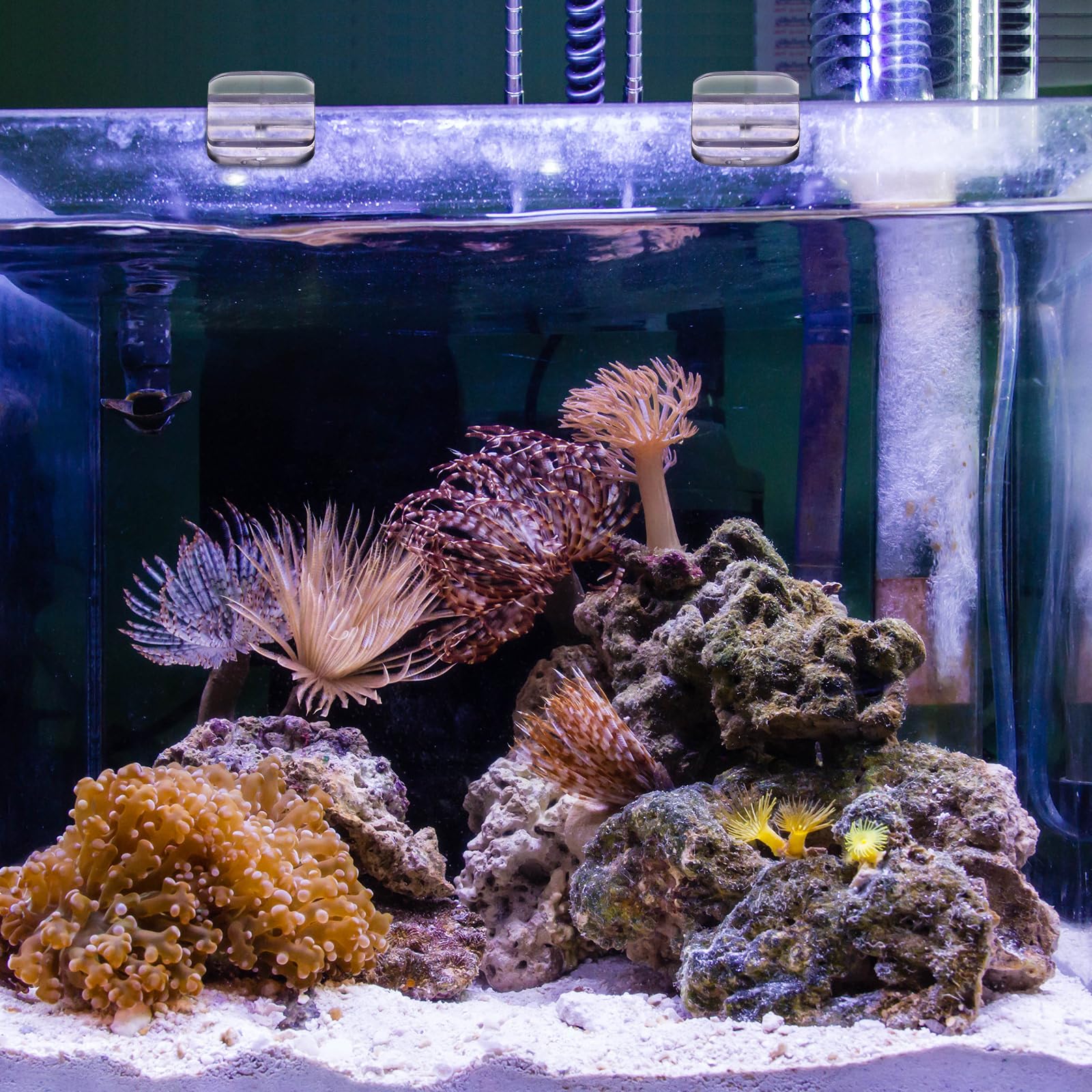 Installation rapide en glissant sur le rebord de l'aquarium.