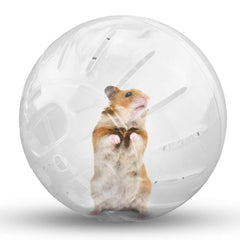 CHUQIANTONG balle exercice hamster bleue : design transparent pour jeu actif.