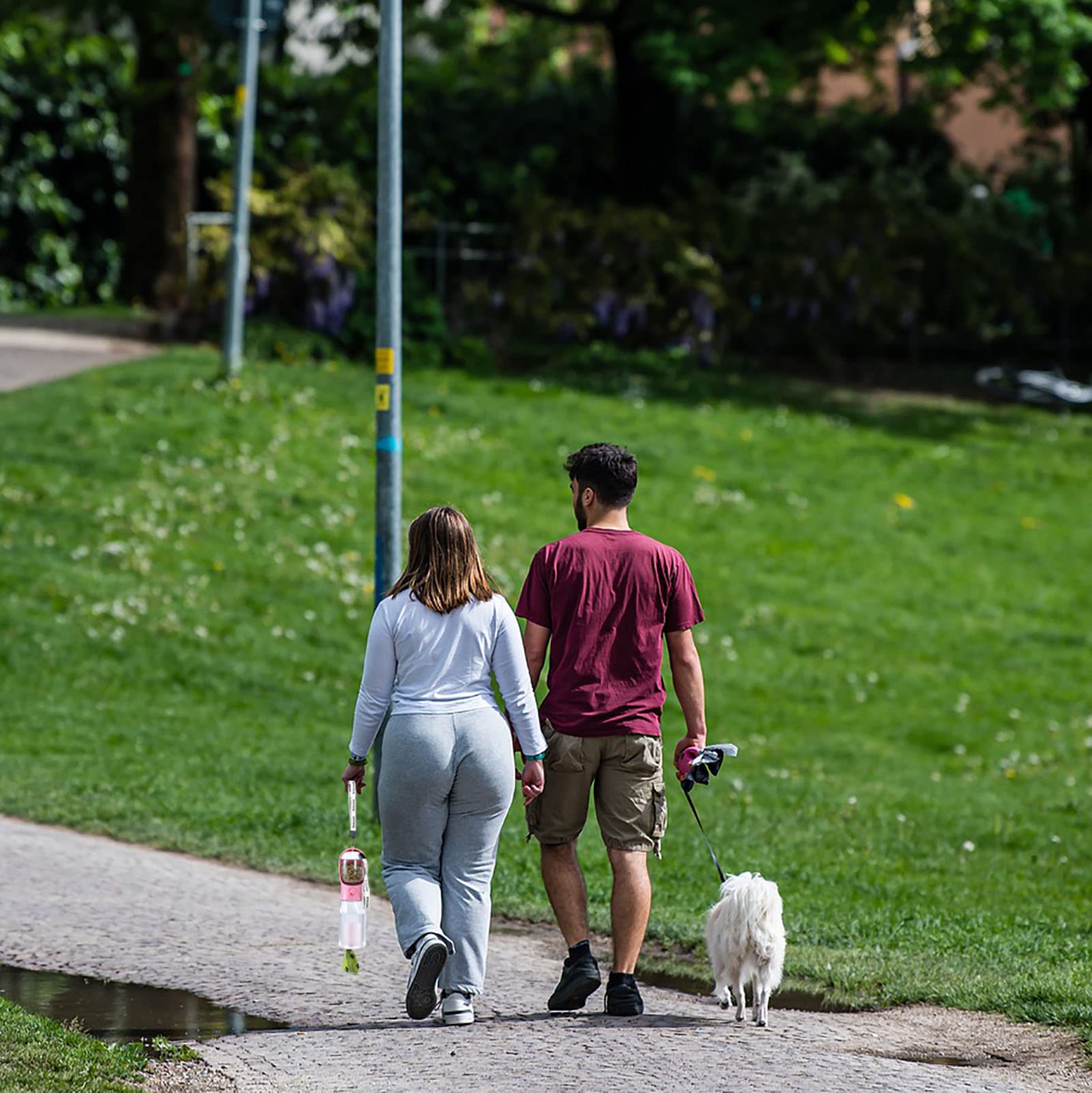 Matériaux sans BPA et résistance à la chaleur, idéal pour les voyages