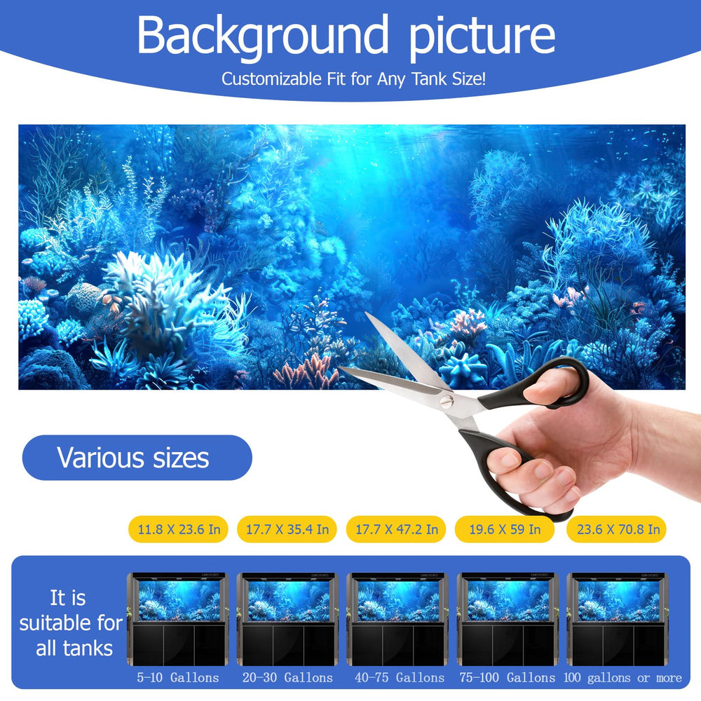 Ambiance sous-marine naturelle et apaisante avec l’arrière-plan.