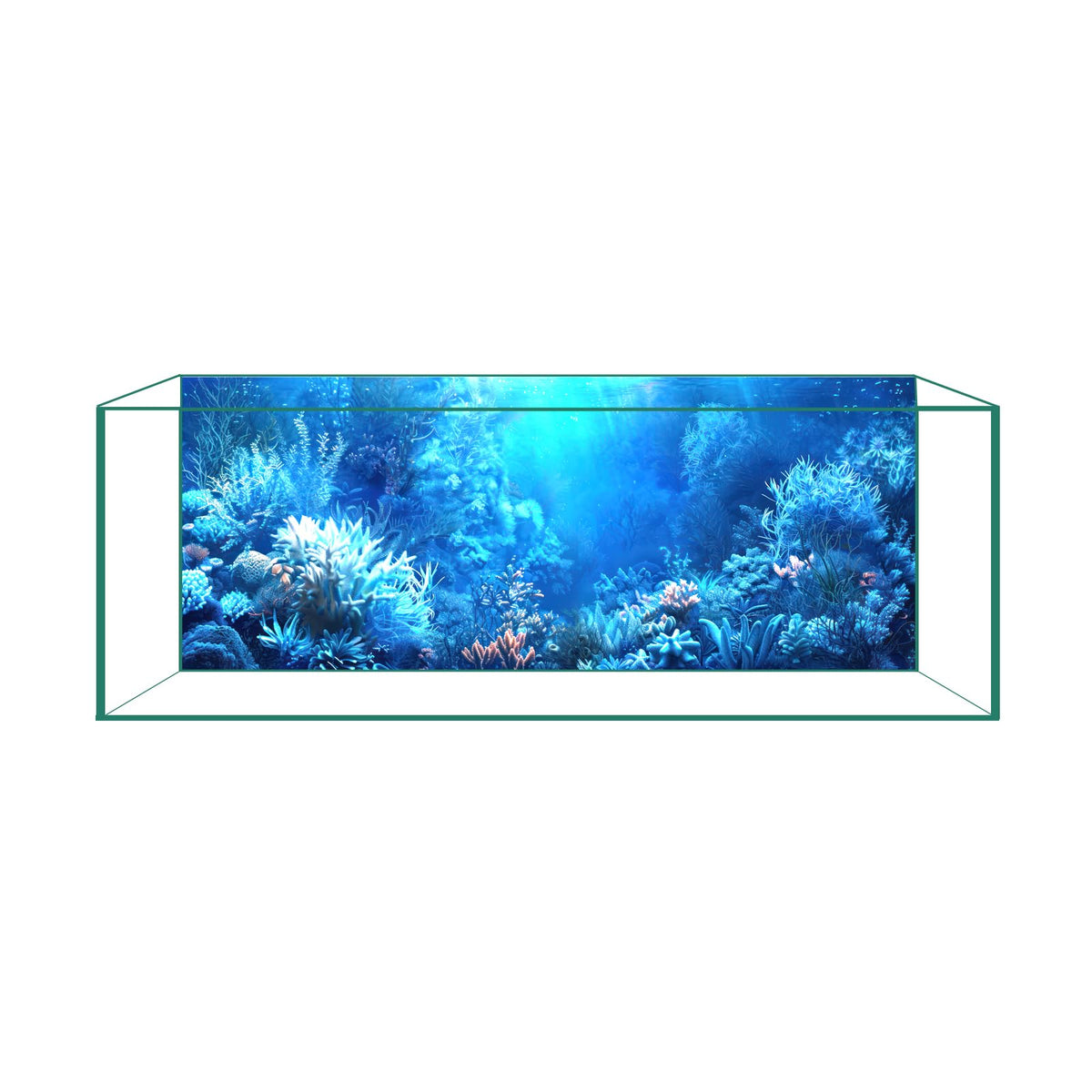 Fond d'aquarium CICK SEED bleu océan, rendu net pour un décor sous-marin vibrant.
