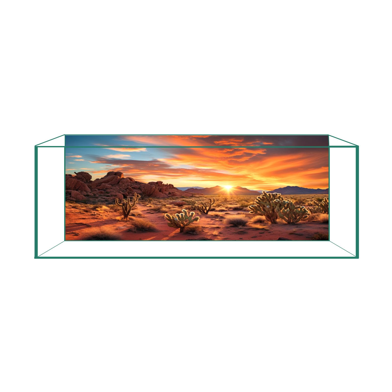Fond désert coucher de soleil pour aquarium par CICK SEED, améliore l'esthétique du terrarium.