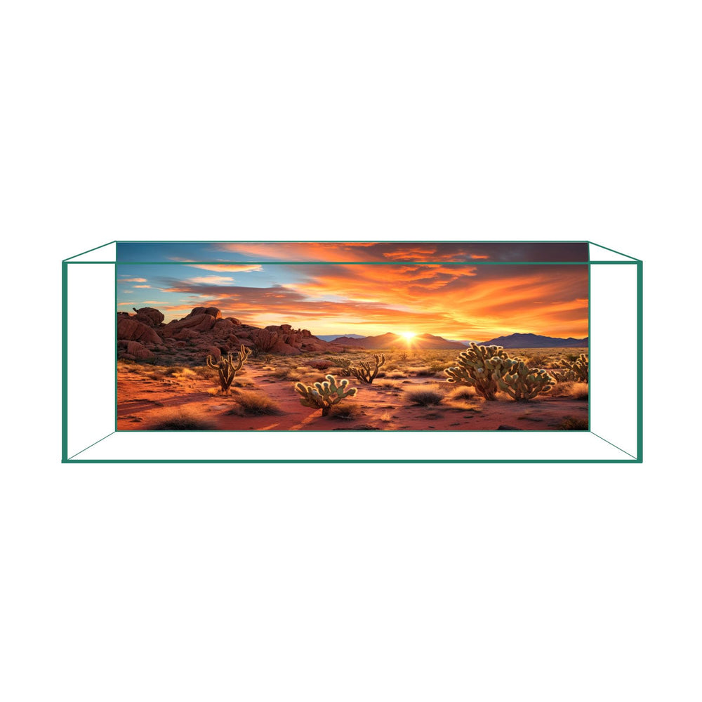 Fond désert coucher de soleil CICK SEED pour aquarium, effet réaliste.