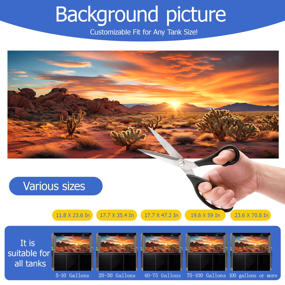 Effet désert coucher de soleil CICK SEED utile pour les reptiles.