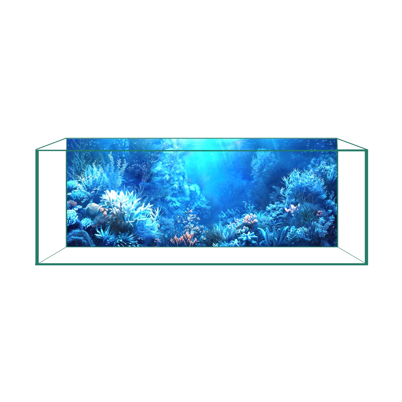 CICK SEED fond bleu d'aquarium en haute définition pour une ambiance immersive.