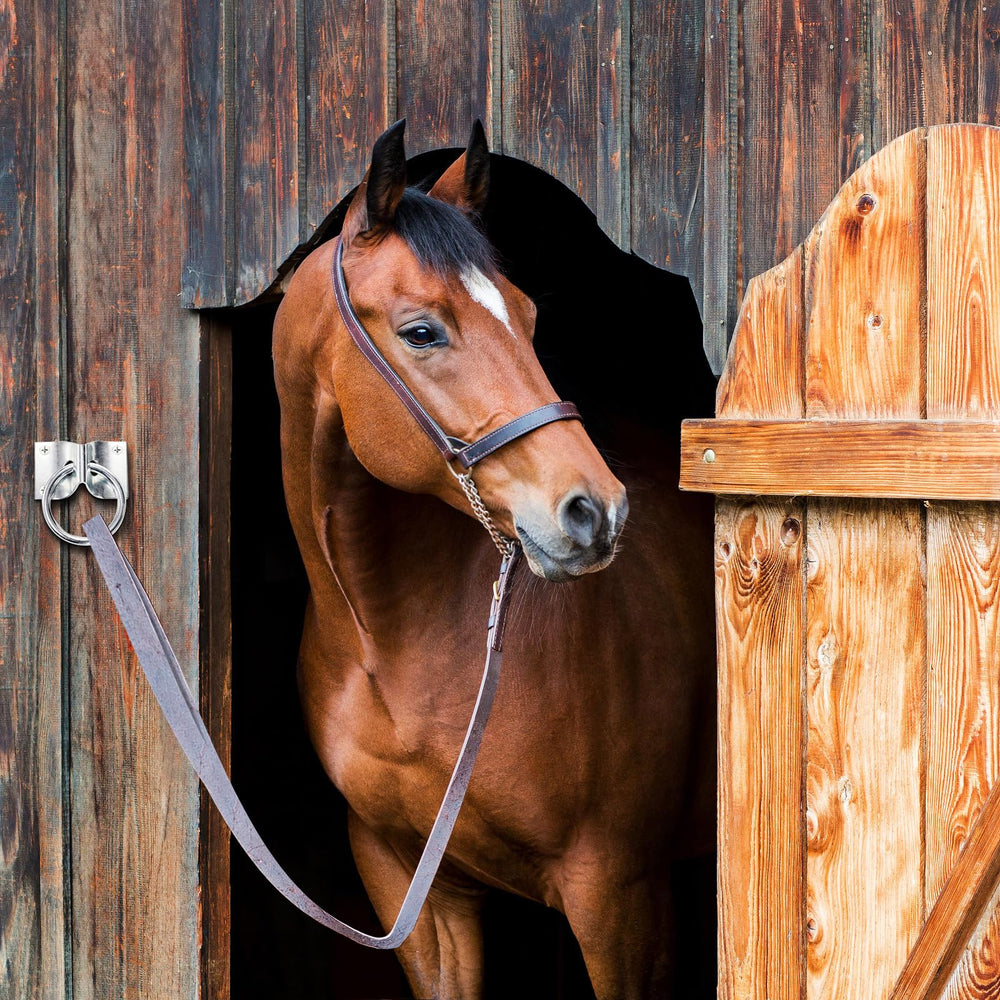 Cididu anneaux attache cheval montage rapide, installation facile.