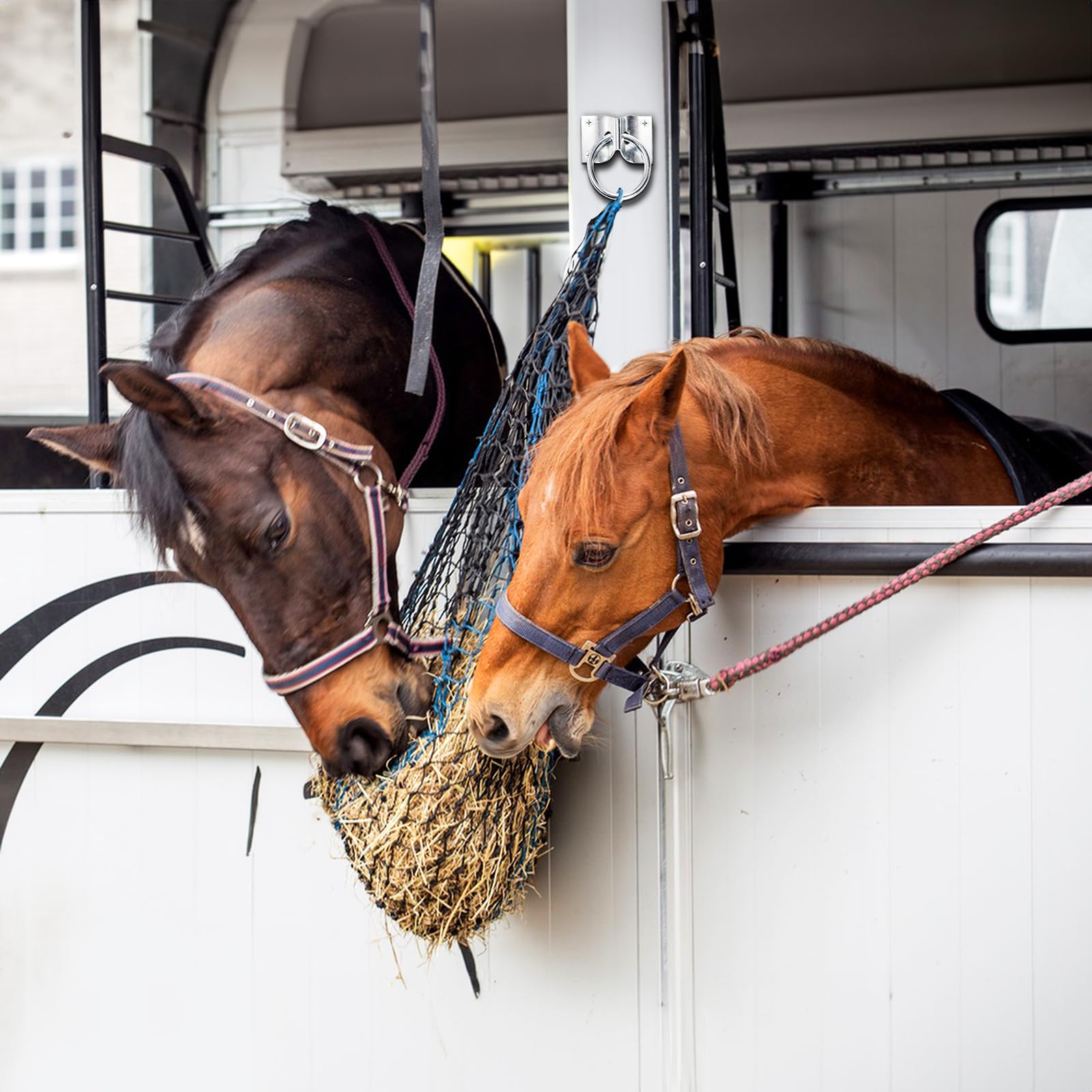Cididu anneaux attache cheval usage multiples, parfait pour sacs et seaux.
