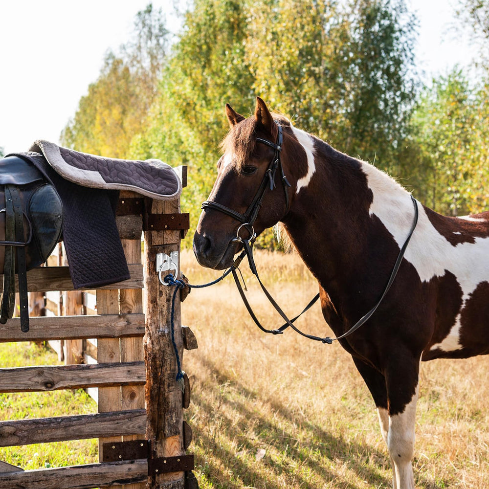 Cididu attache cheval grange, robuste pour clôtures et boxes.