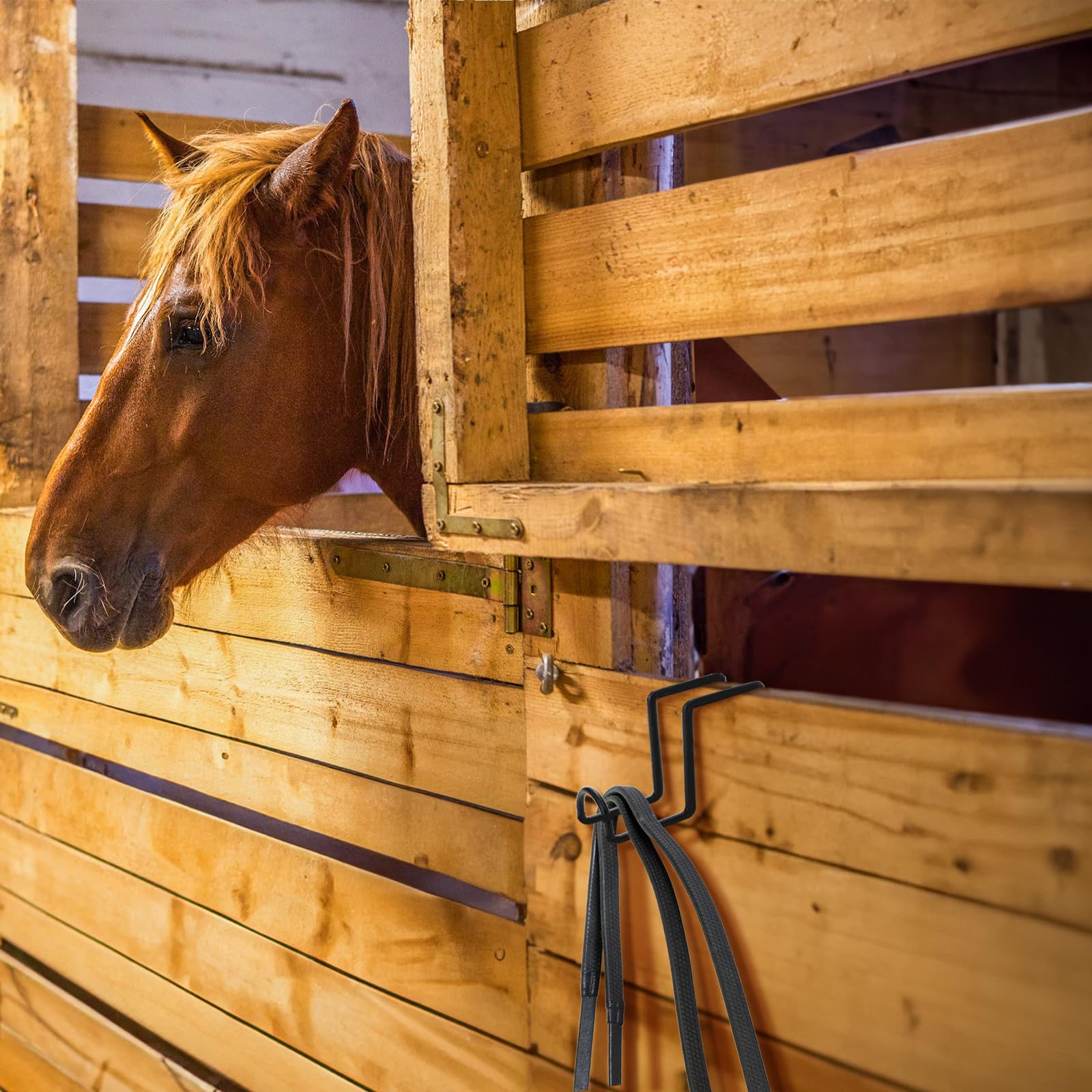 Cididu: seau d’eau cheval facile à suspendre et accéder.