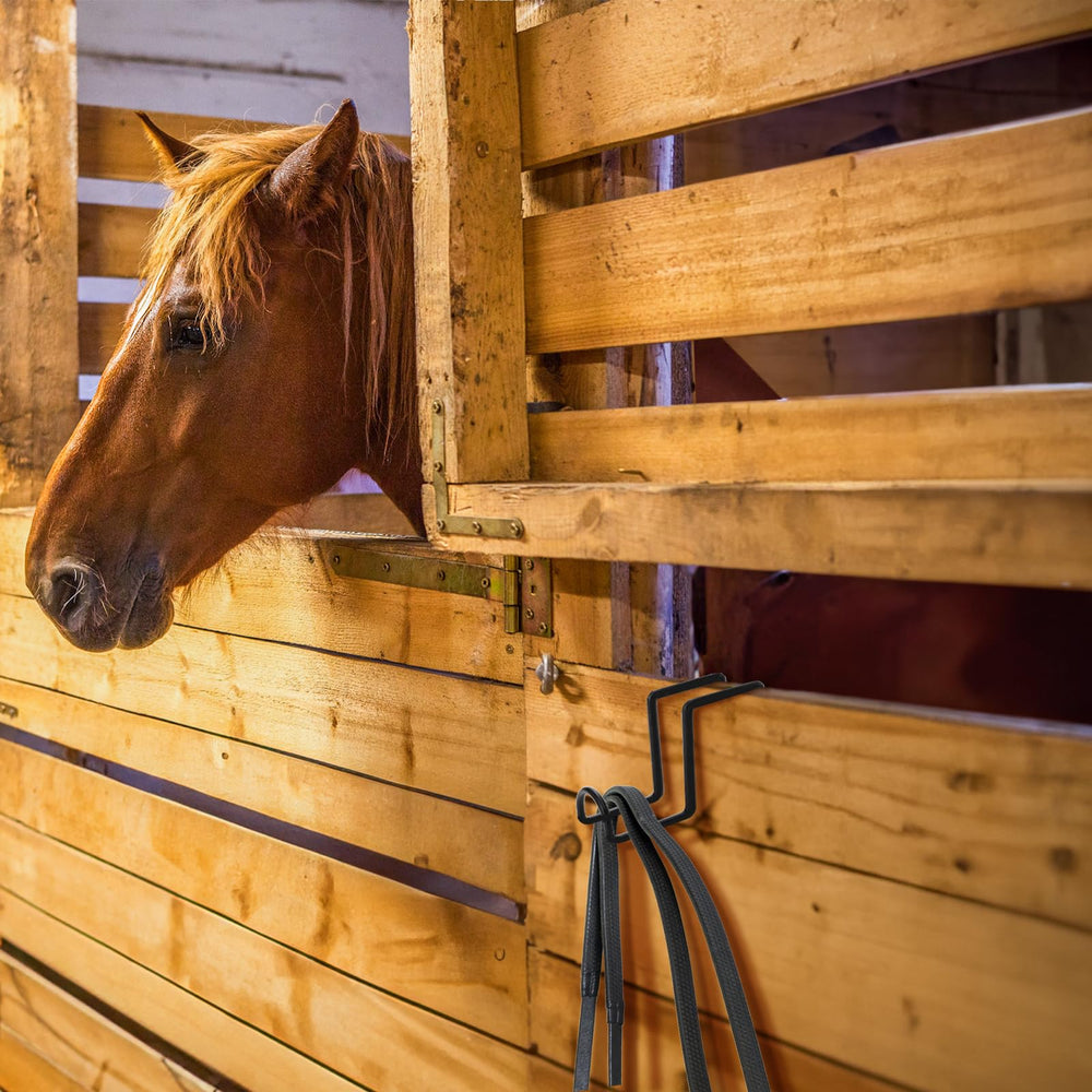 Cididu: seau d’eau cheval facile à suspendre et accéder.
