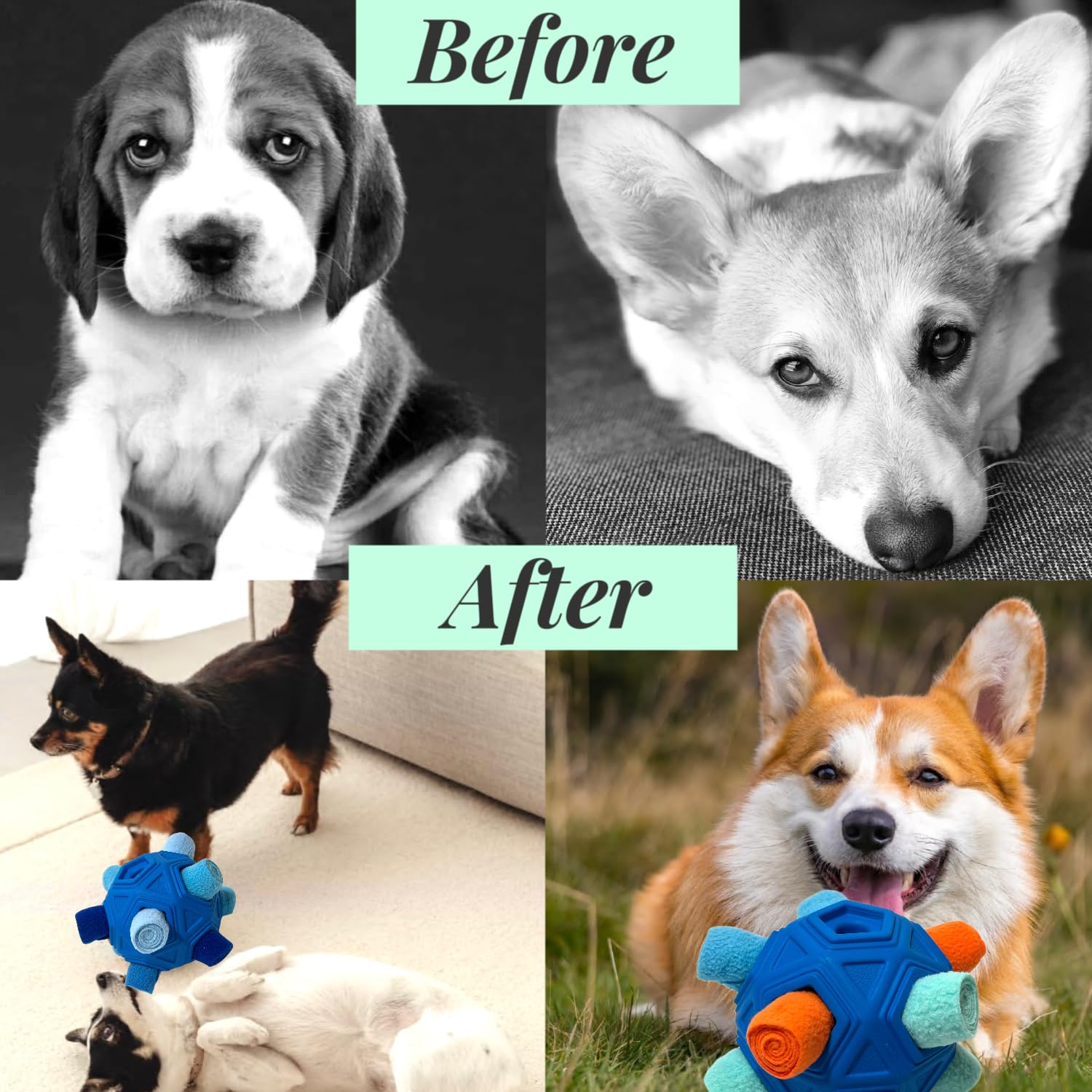 CIIVURR Balle Snuffle convient à toutes tailles de chiens pour jeu stimulant.