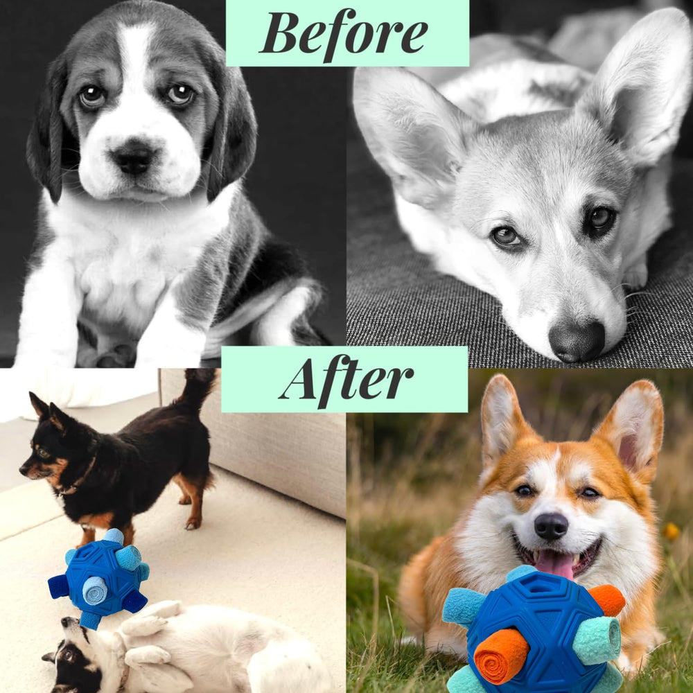 CIIVURR Balle Snuffle convient à toutes tailles de chiens pour jeu stimulant.