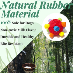 CIIVURR Snuffle Ball distributeur de friandises, incite à l’exploration et à la réflexion.