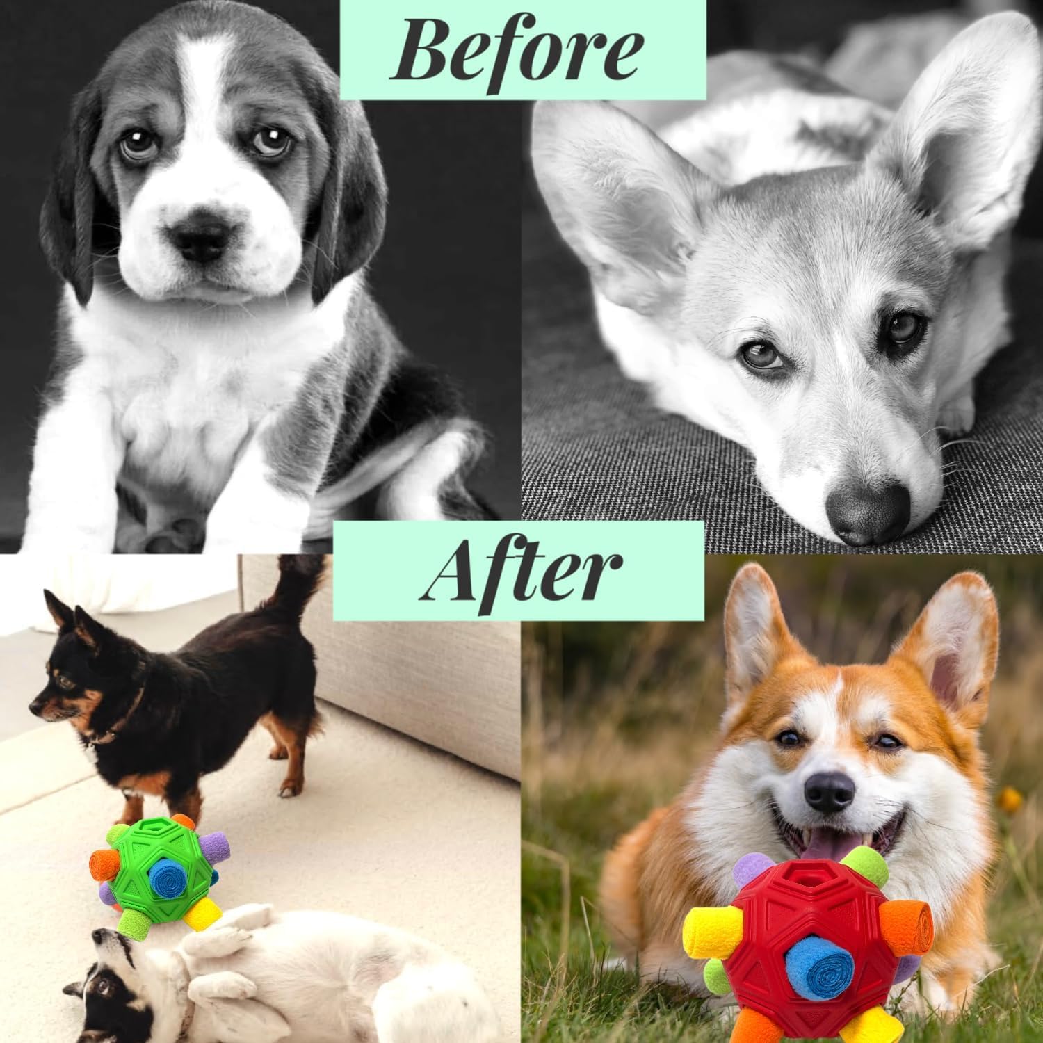 CIIVURR Snuffle Ball taille adaptée, convient à tous les chiens, petits et grands.