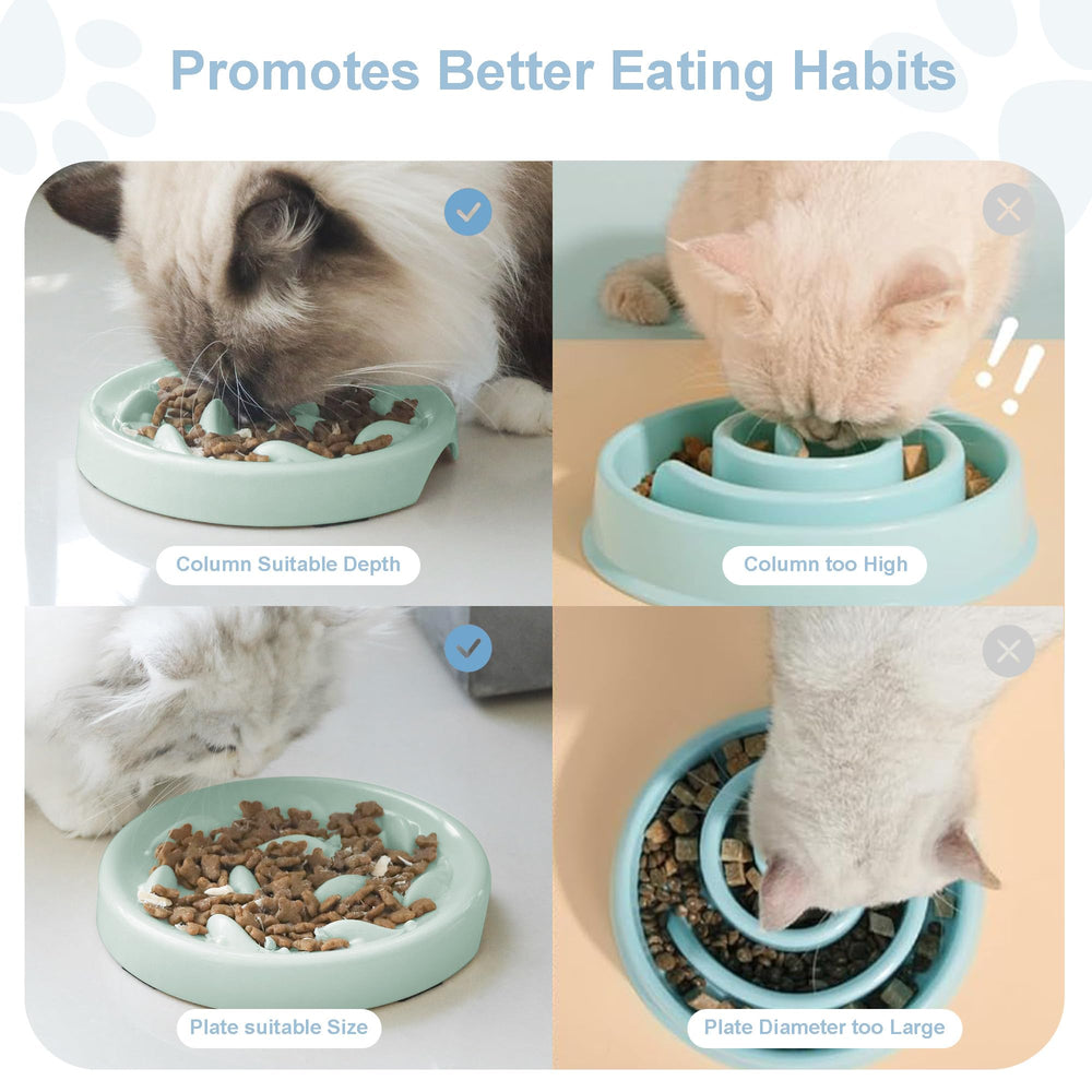 Bol Cilkus anti-gaspillage pour chiens et chats, repas plus calmes et longs.