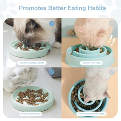 Bol Cilkus anti-gaspillage pour chiens et chats, repas plus calmes et longs.