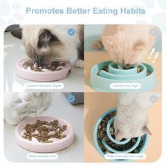 Bol Cilkus ralentisseur pour chien petit chien, design poisson rose, utile pour repas lents.