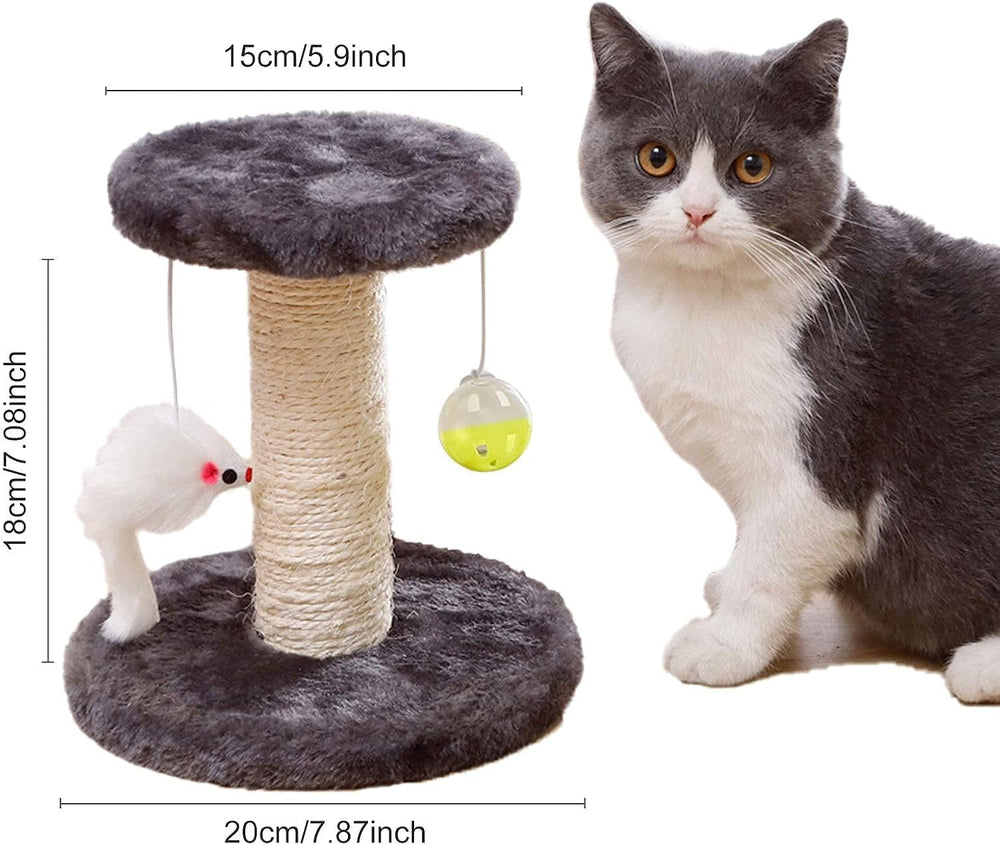 Cisila arbre-chat petit, sisal robuste et base en bois, parfait pour griffer et explorer.