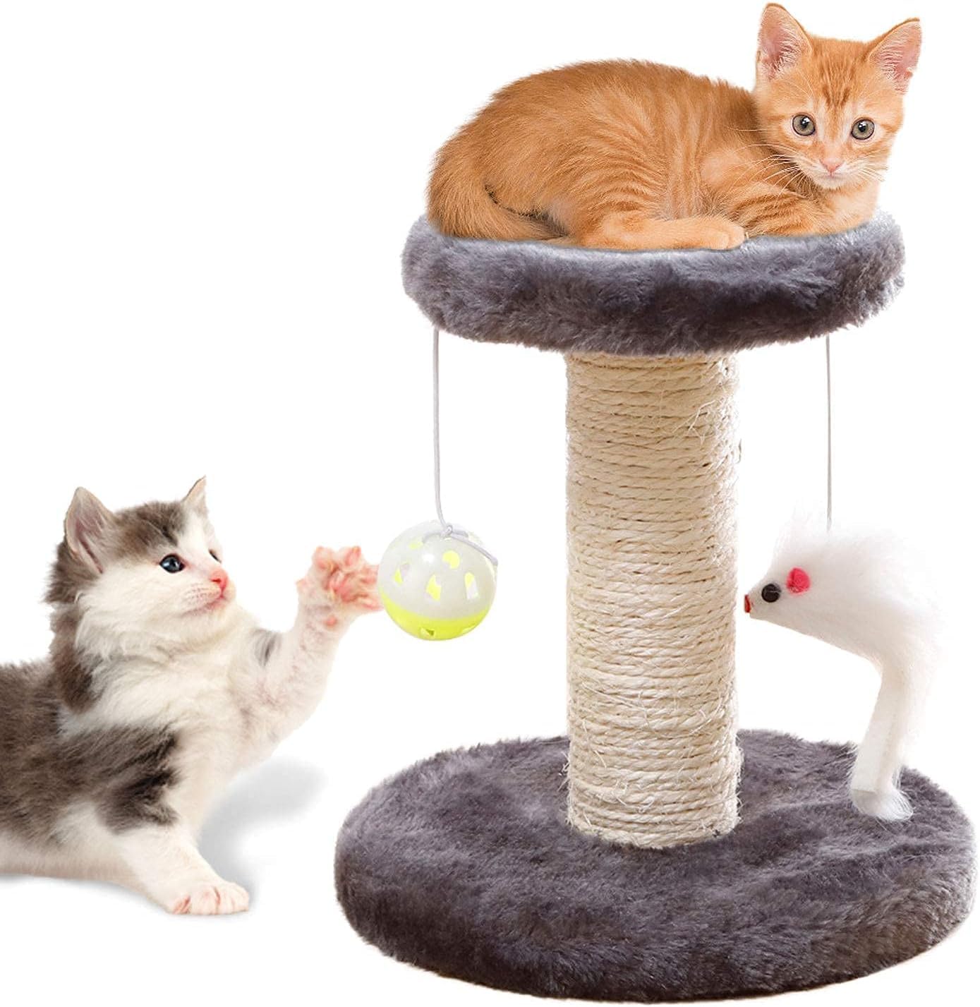 Cisila boule peluche jouet chat petit, divertissement interactif pour moments seuls.