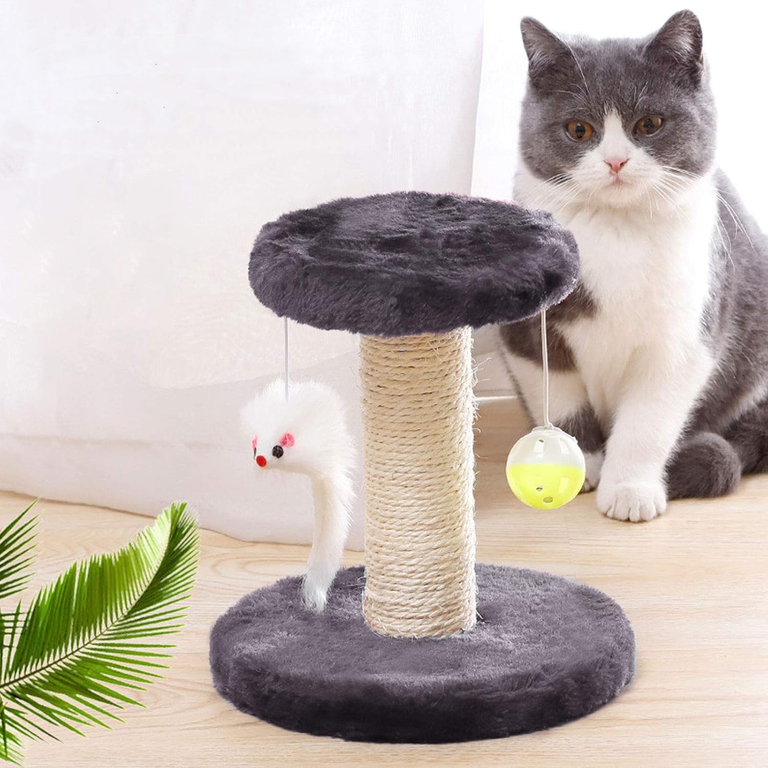 Cisila design ludique, meuble pour petit chat, favorise l'exercice et le jeu.