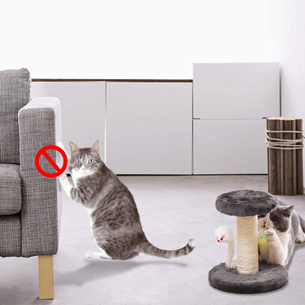 Cisila dispositif interactif chat petit, combinaison sisal et jouets, stimulation naturelle.