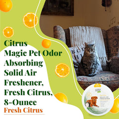Pierre odorante Citrus Magic au citron, parfum frais pour pièces.