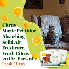 Citrus Magic senteur citronnée, purifie l’atmosphère sans pulvérisation