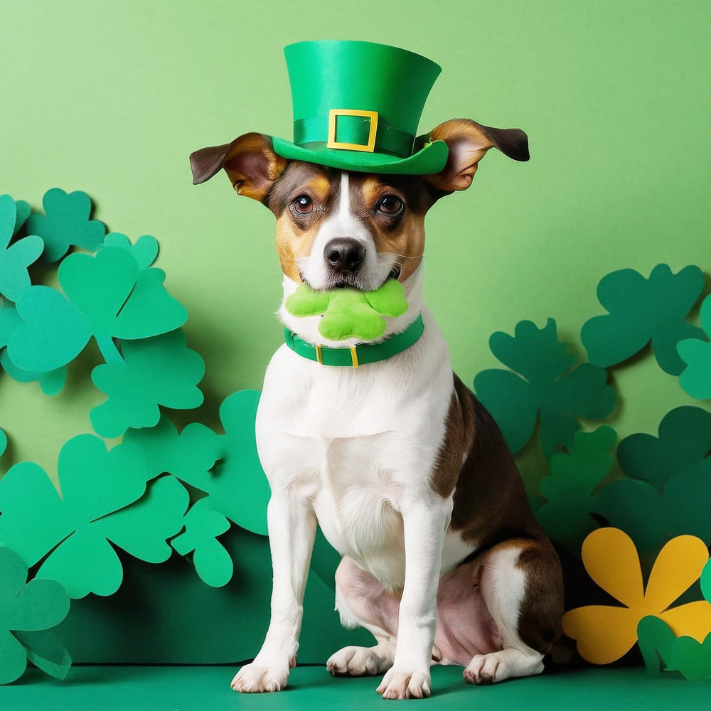 Jouet Civaner qui crie pour chien couleur verte stimulation et jeu